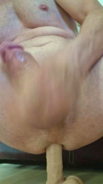 Cassiss webcam model stream image