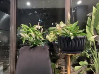 andylynnpayne webcam chaturbate model stream image