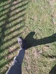 FreezingTie850 webcam stripchat model stream image