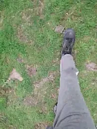 FreezingTie850 webcam stripchat model stream image