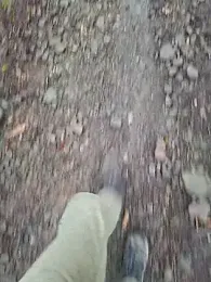 FreezingTie850 webcam stripchat model stream image