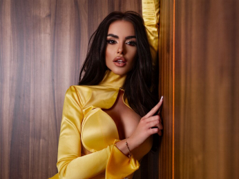 Innes webcam model stream image