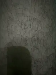 Maya_mimi webcam model stream image