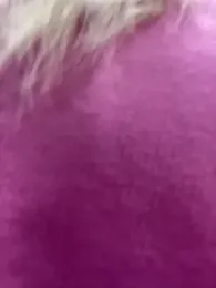 MerlinDave webcam model stream image