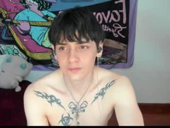 sai_l webcam model stream image