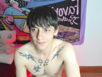 sai_l webcam model stream image