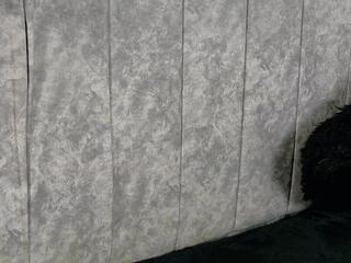 Electra Joness webcam model stream image