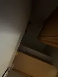 Thatguy_2026 webcam model stream image