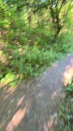 Justfunfranko webcam model stream image