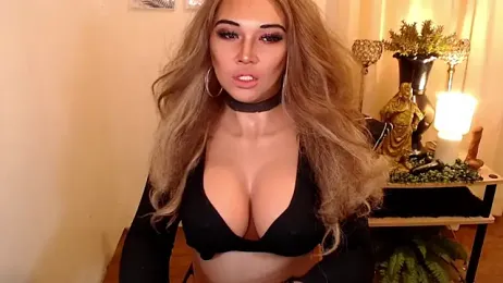 TsMalibogXx webcam stripchat model stream image