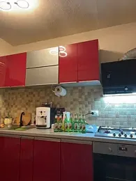 COBRAboySEX@xh webcam model stream image