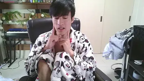 IroManager webcam model stream image