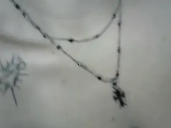 Aressvs webcam model stream image