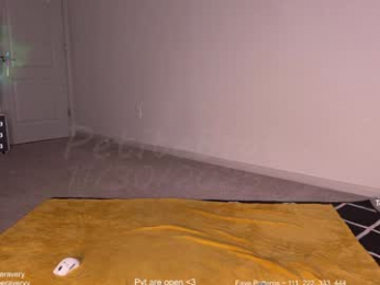 petitebrat webcam model stream image