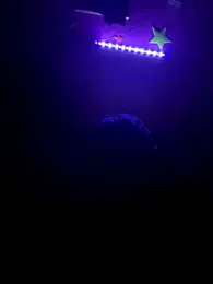 RandalHot webcam model stream image