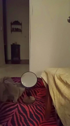 Scorpandcapri41 webcam cam4 model stream image