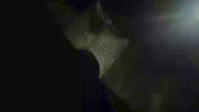 Dudewith9 webcam model stream image