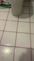 Febs19 webcam model stream image