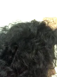 alexiaross96 webcam model stream image