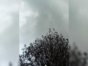 AlexaBrown12 webcam model stream image