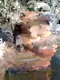 vulgovic_ webcam model stream image