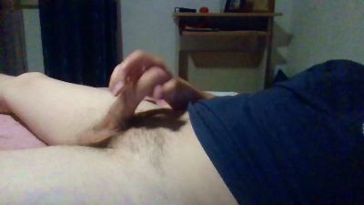 zemanel2021 webcam cam4 model stream image
