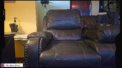The_Alpha_Dog webcam model stream image