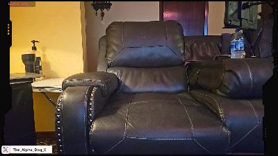 The_Alpha_Dog webcam model stream image