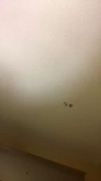 rosavell webcam model stream image