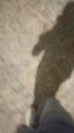 Cruising7c4nu3v webcam model stream image