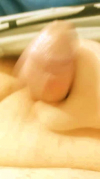 ECM86 webcam model stream image