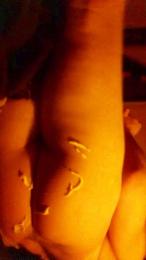 xXxMeexXxx webcam model stream image