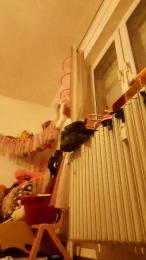 xXxMeexXxx webcam model stream image