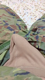 pichi84 webcam model stream image