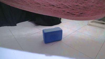 SAPIA_SEXUAL webcam model stream image
