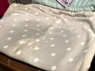 edgelord210 webcam model stream image