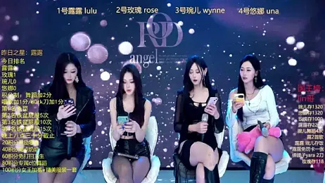 ROD-angel webcam model stream image