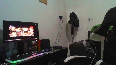 Dove webcam model stream image