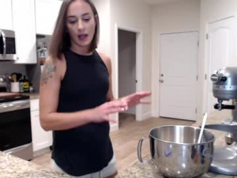 holihurricane webcam model stream image