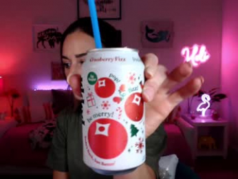 holihurricane webcam model stream image