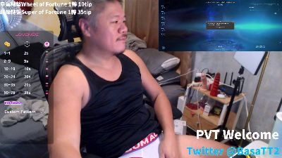 TsubasaTA webcam model stream image
