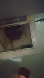 Badgirl91919 webcam model stream image
