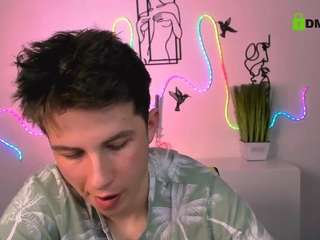 mister-vice webcam model stream image