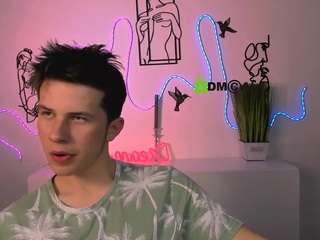 mister-vice webcam model stream image