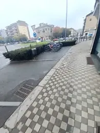 vercf14 webcam model stream image