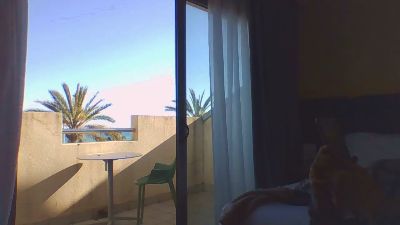 eins2eins3 webcam model stream image