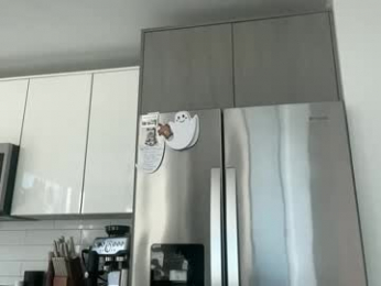 camiliakxoxo webcam model stream image