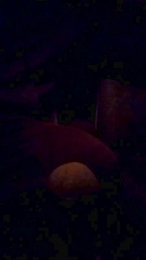 uncutcockitaly webcam model stream image