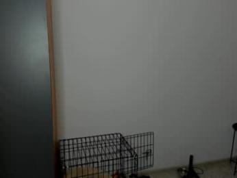 patricia_bloom webcam chaturbate model stream image