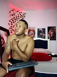 ARTHUR_MINI webcam model stream image